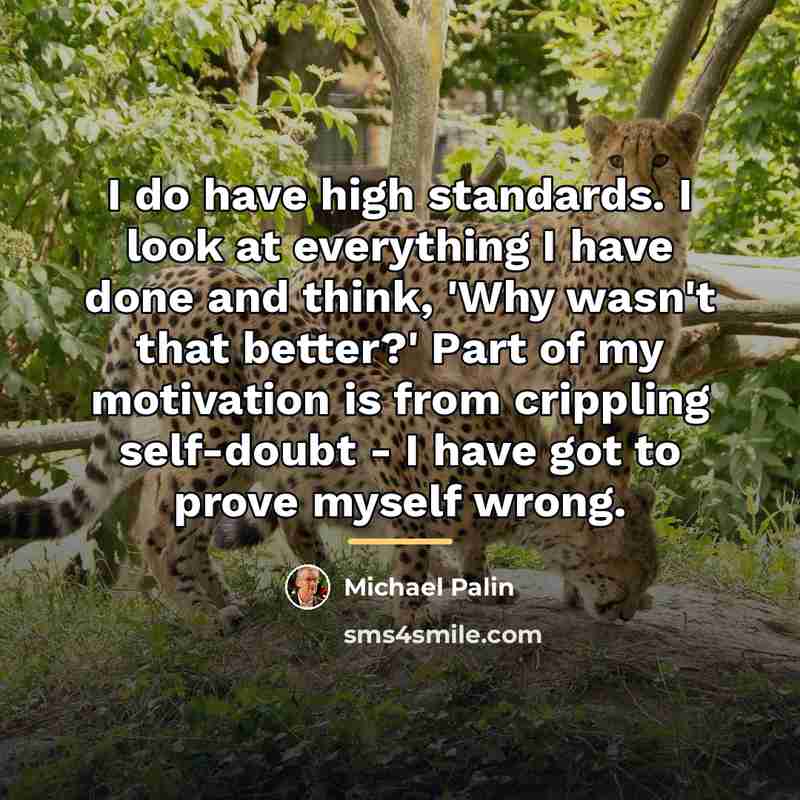 “I do have high standards. I look at everything I…” quote by Michael Palin