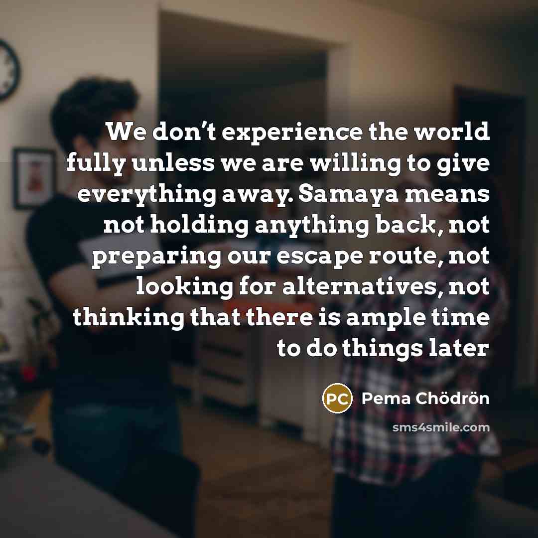 “We don’t experience the world fully unless we are willing…” quote by Pema Chodron