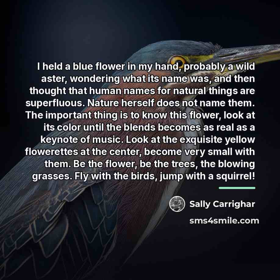 “I held a blue flower in my hand, probably a…” quote by Sally Carrighar