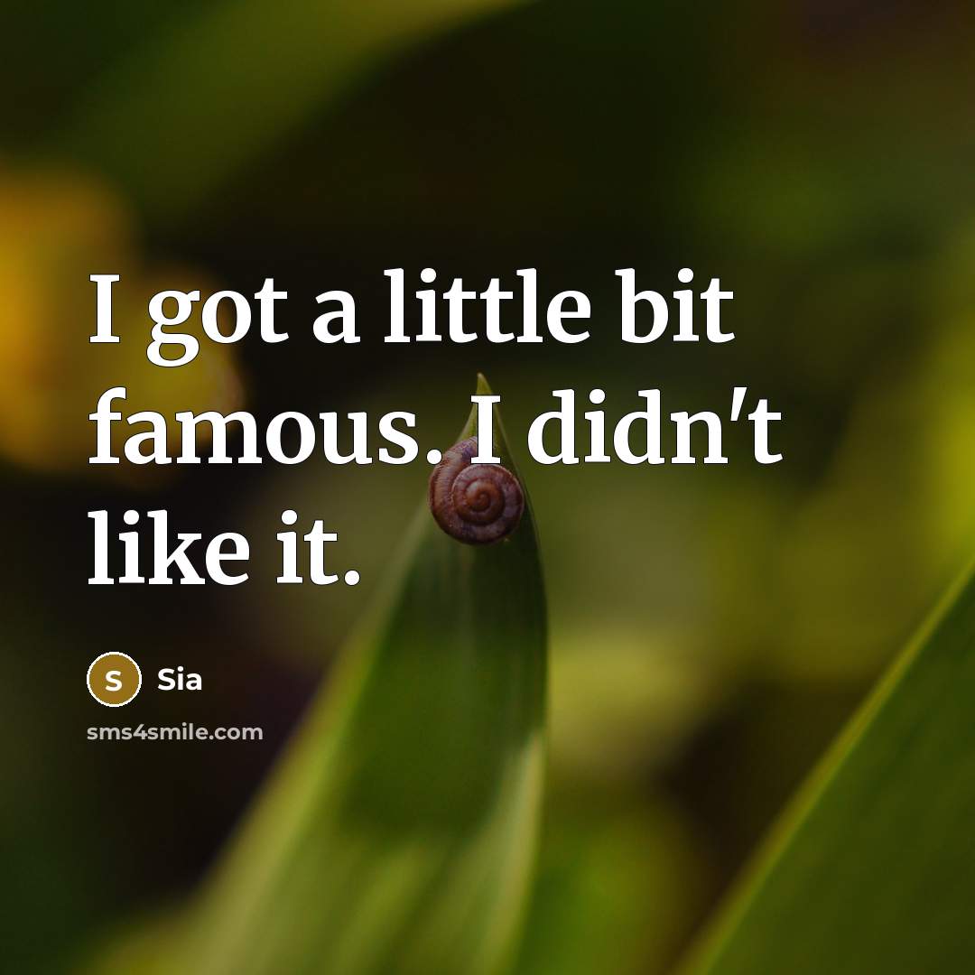 “I got a little bit famous. I didn't like it.” quote by Sia