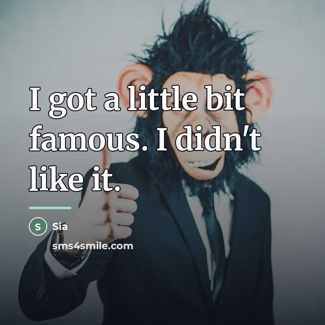“I got a little bit famous. I didn't like it.…” quote by Sia