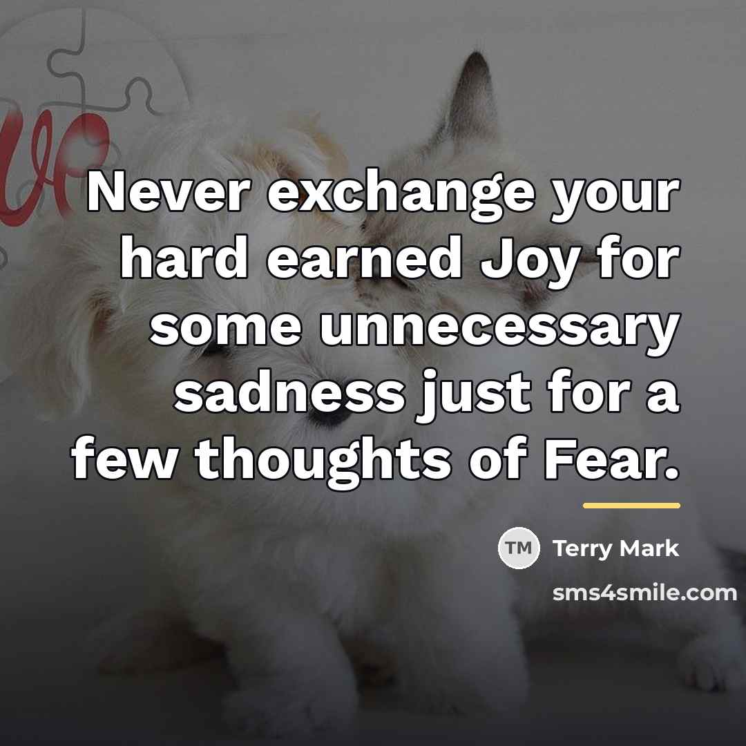 “Never exchange your hard earned Joy for some unnecessary sadness…” quote by Terry Mark