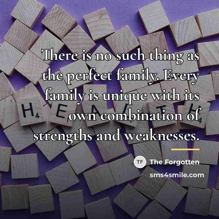 “There is no such thing as the perfect family. Every…” quote by The Forgotten