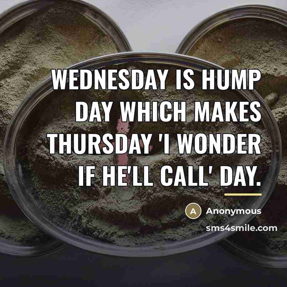 “Wednesday is hump day which makes Thursday 'I wonder if…” quote by Anonymous