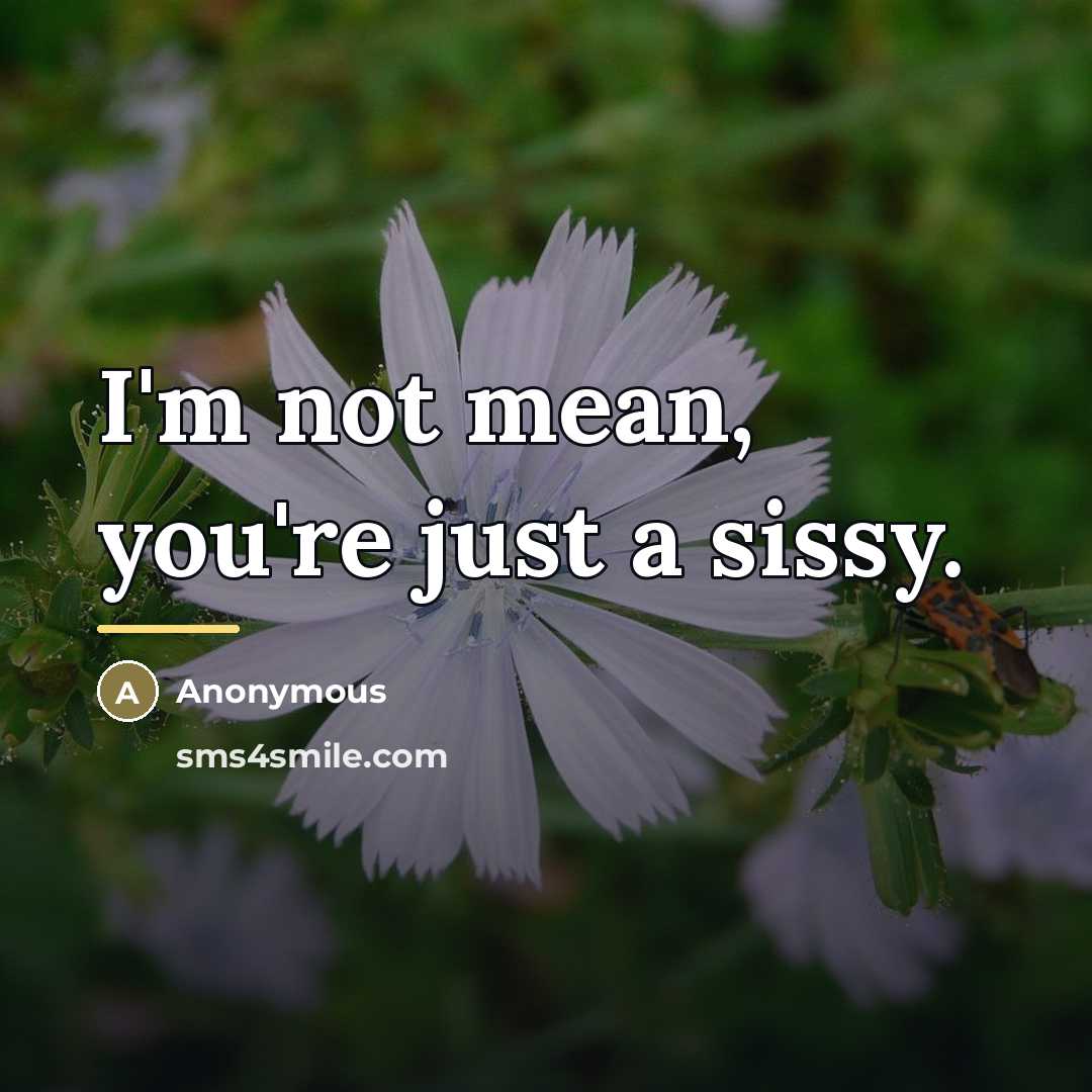 “I'm not mean, you're just a sissy.…” quote by Anonymous