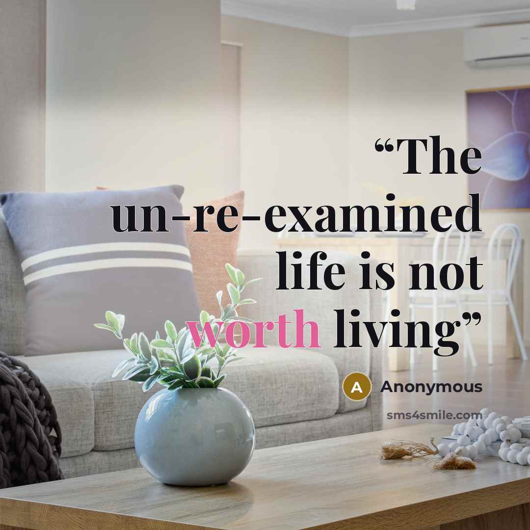 “The un-re-examined life is not worth living” quote by Anonymous