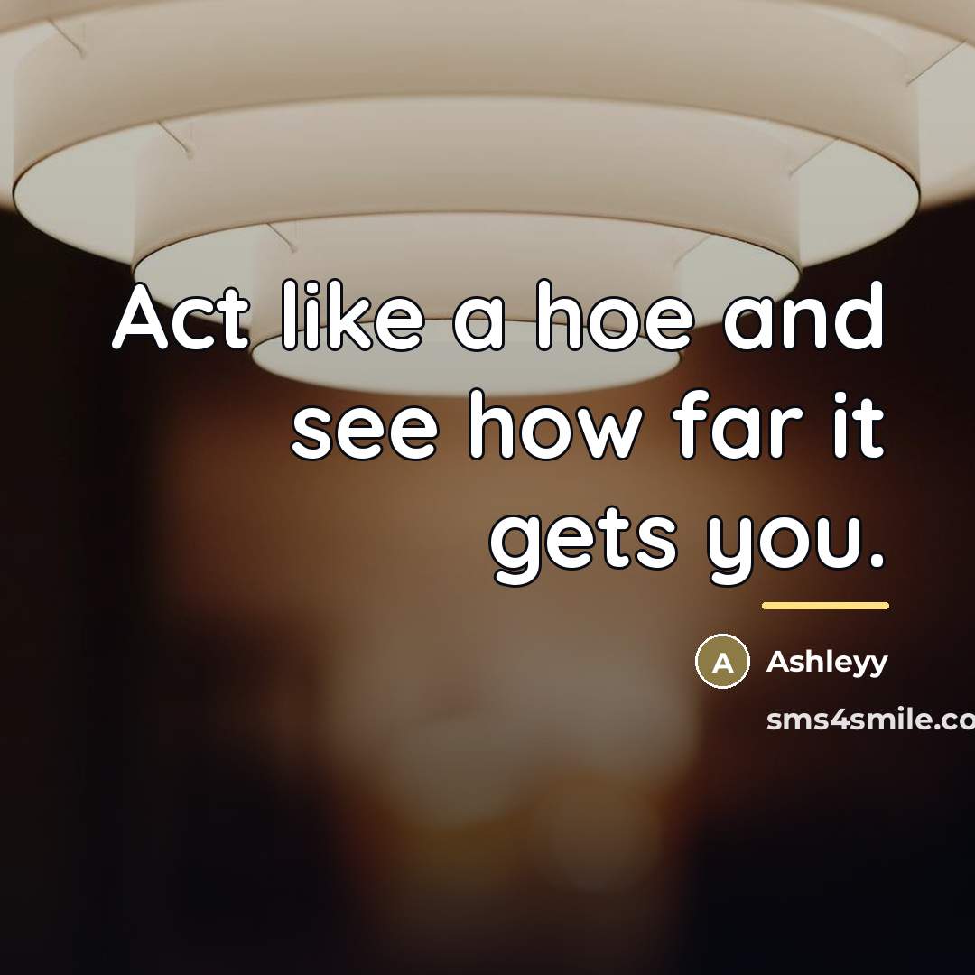 “Act like a hoe and see how far it gets…” quote by Ashleyy