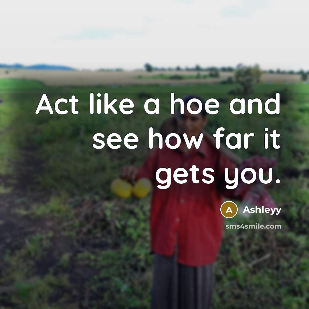 “Act like a hoe and see how far it gets you.” quote by Ashleyy