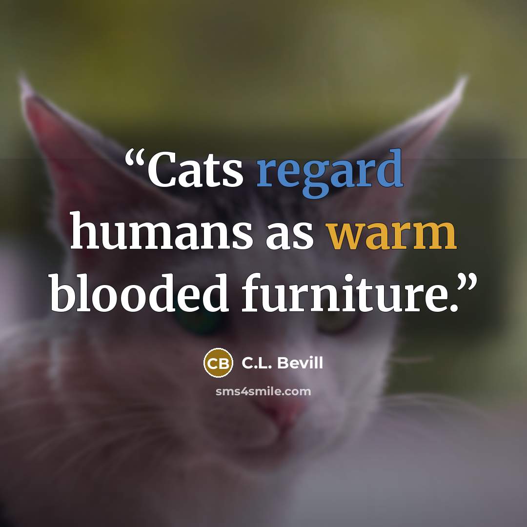 “Cats regard humans as warm blooded furniture.” quote by C.L. Bevill