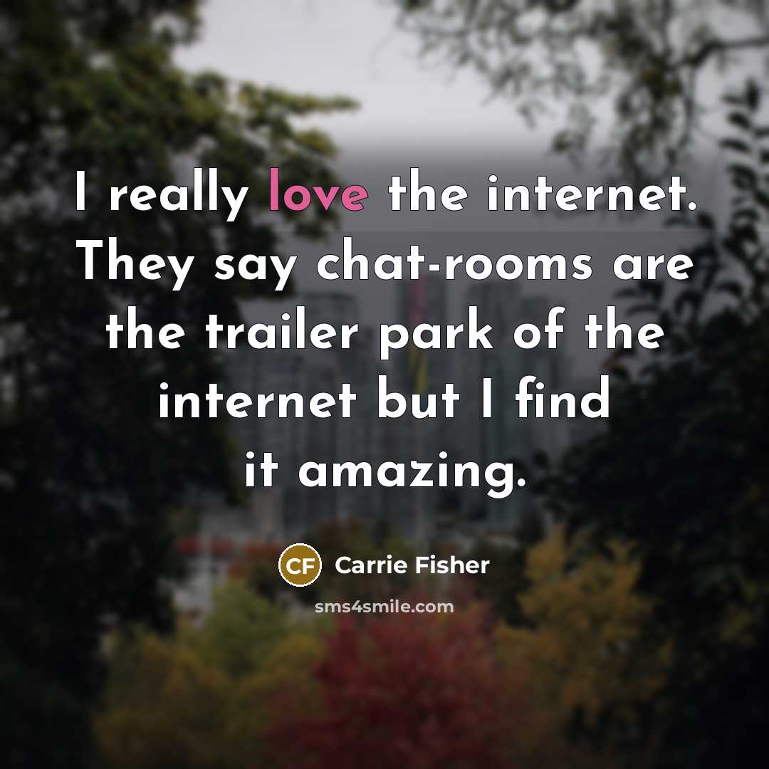 “I really love the internet. They say chat-rooms are the trailer park of the internet but I find it amazing.” quote by Carrie Fisher