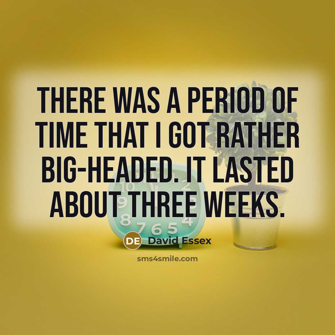 “There was a period of time that I got rather…” quote by David Essex