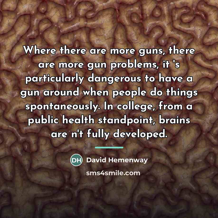 “Where there are more guns, there are more gun problems,…” quote by David Hemenway