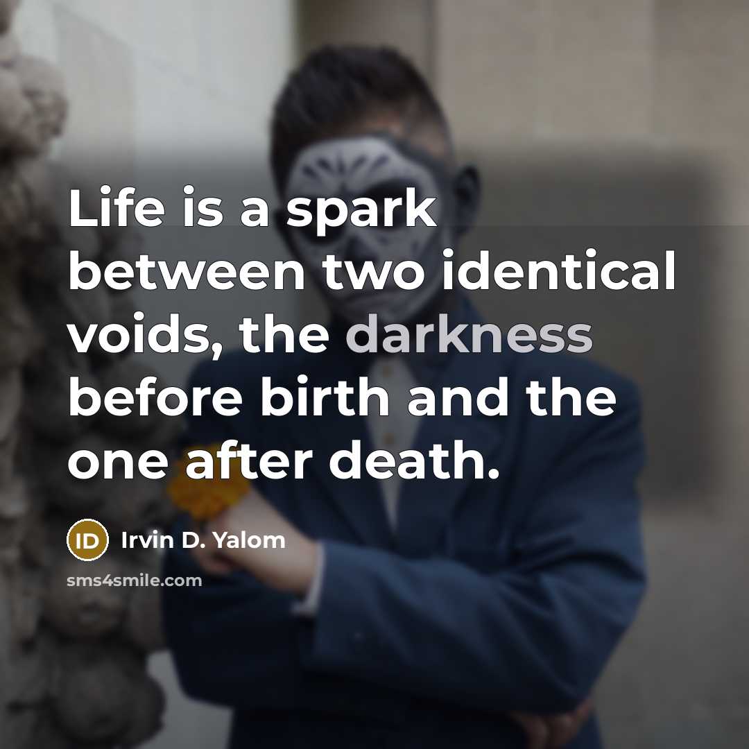“Life is a spark between two identical voids, the darkness…” quote by Irvin D. Yalom