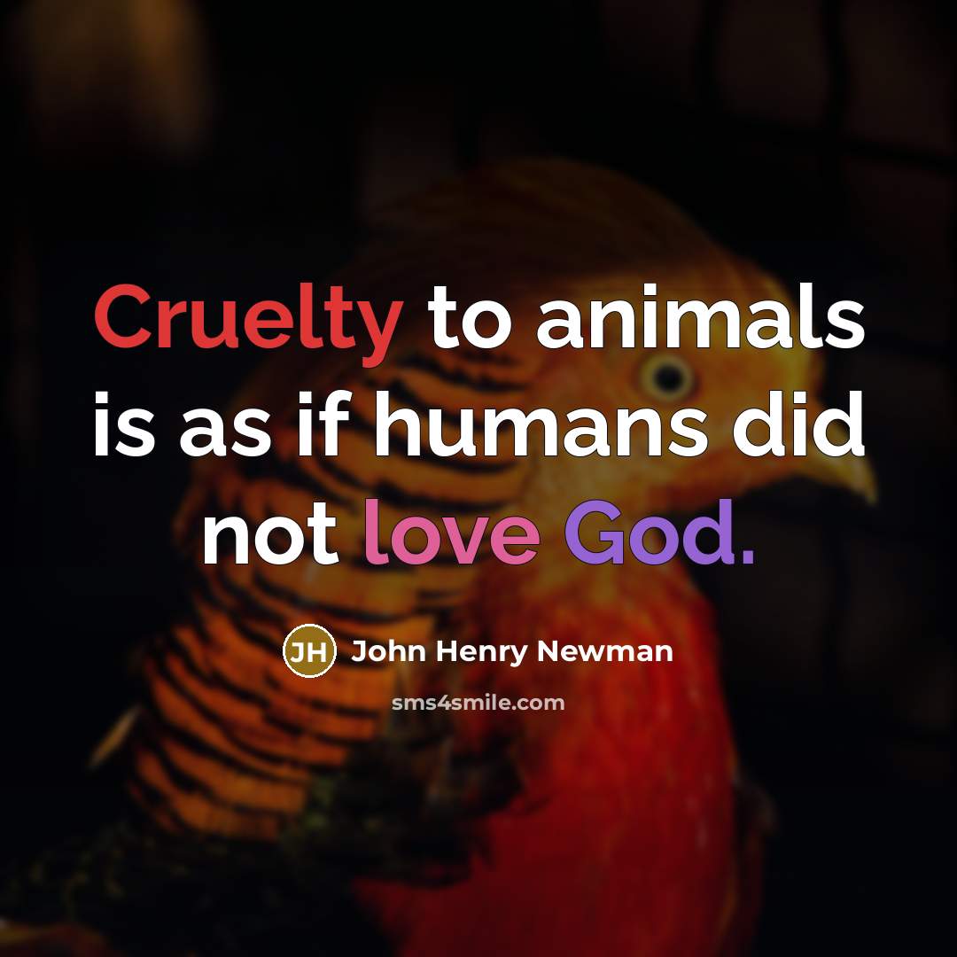 “Cruelty to animals is as if humans did not love…” quote by John Henry Newman