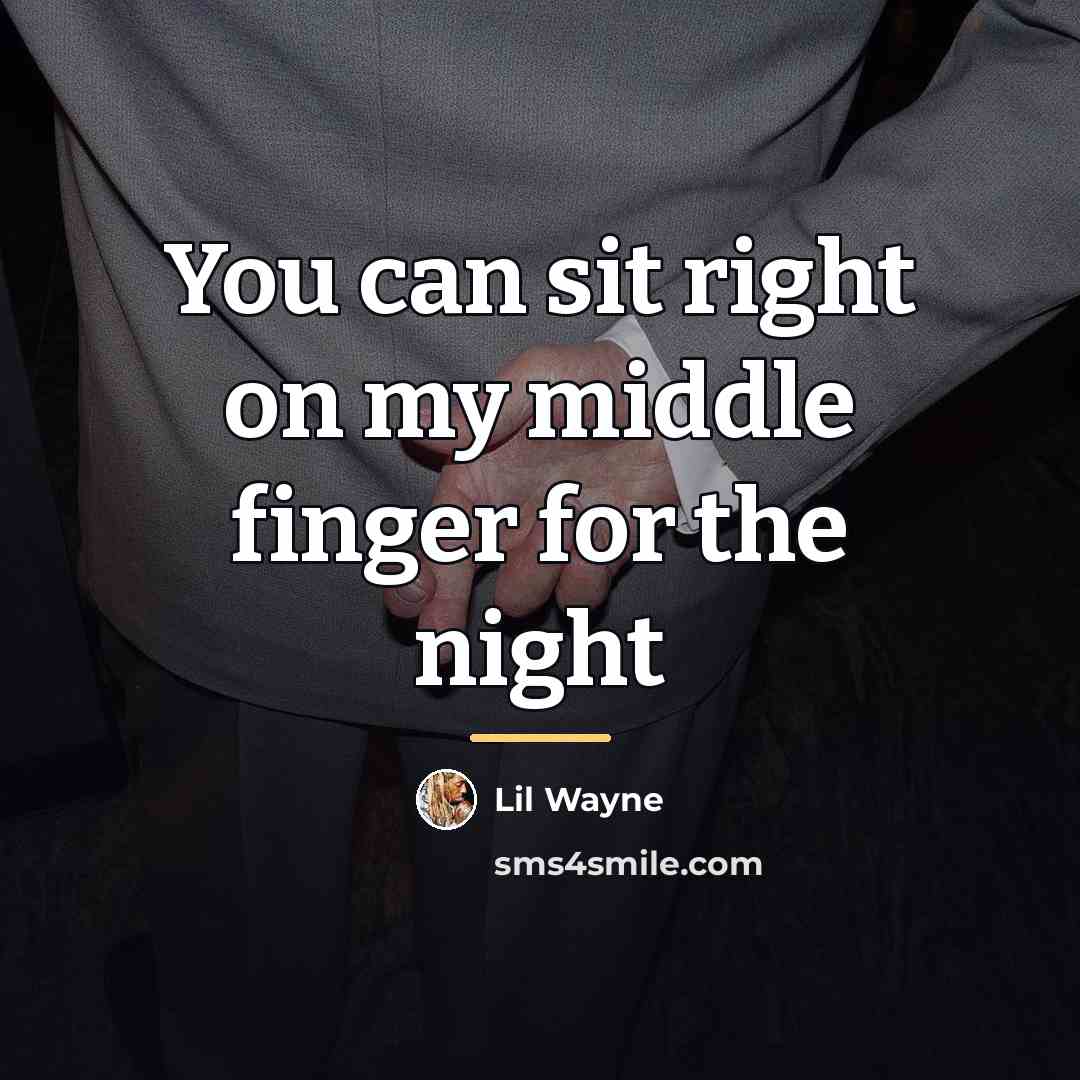 “You can sit right on my middle finger for the…” quote by Lil Wayne