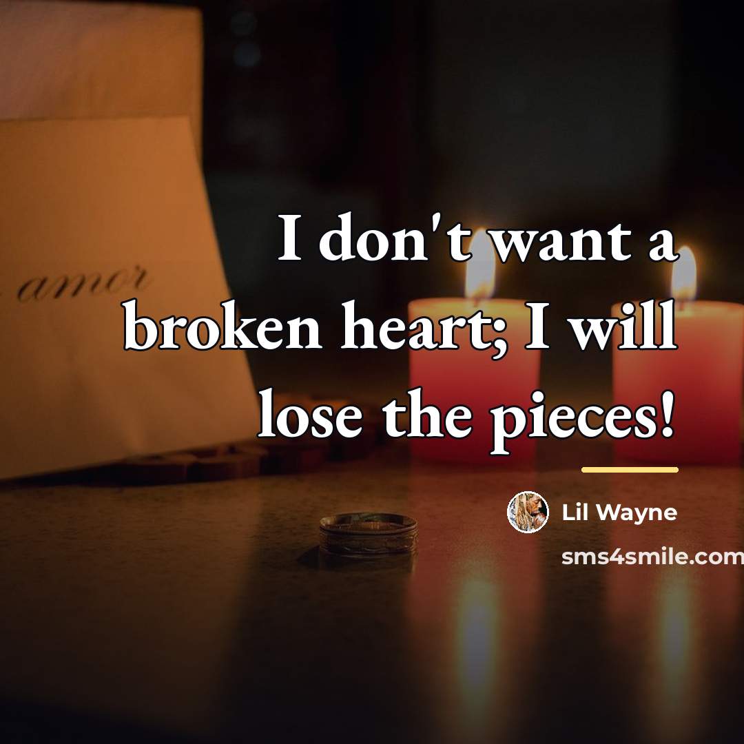 “I don't want a broken heart; I will lose the…” quote by Lil Wayne