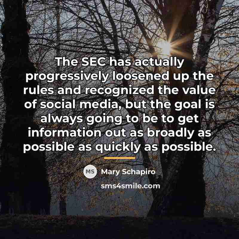 “The SEC has actually progressively loosened up the rules and…” quote by Mary Schapiro
