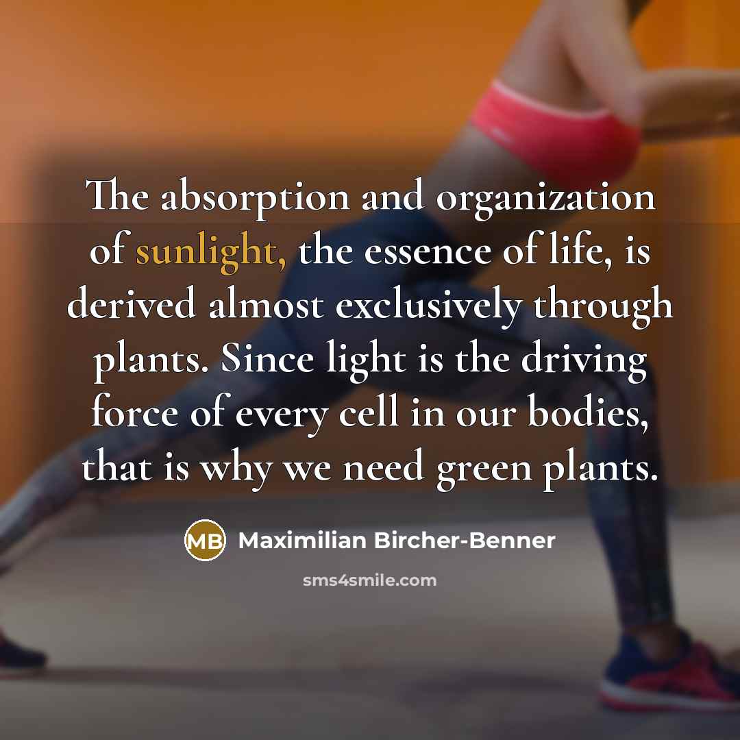 “The absorption and organization of sunlight, the essence of life,…” quote by Maximilian Bircher-Benner