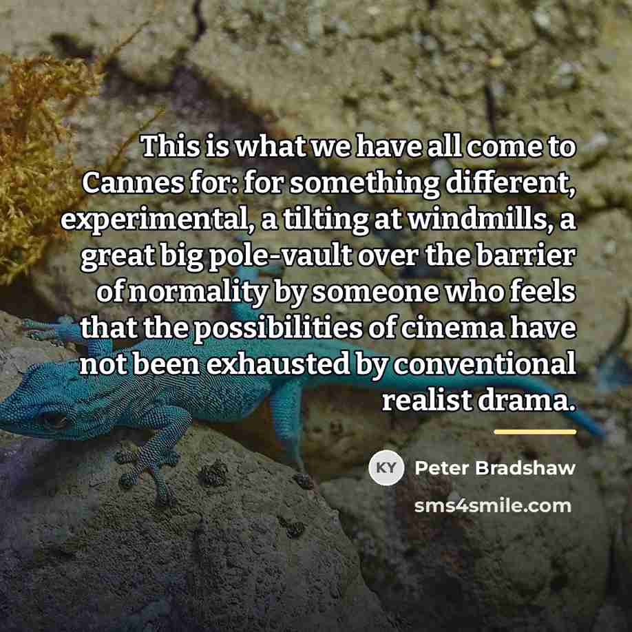 “This is what we have all come to Cannes for:…” quote by Peter Bradshaw