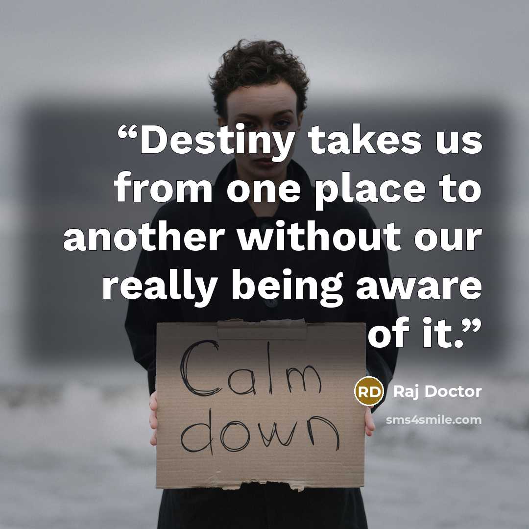 “Destiny takes us from one place to another without our really being aware of it.” quote by Raj Doctor