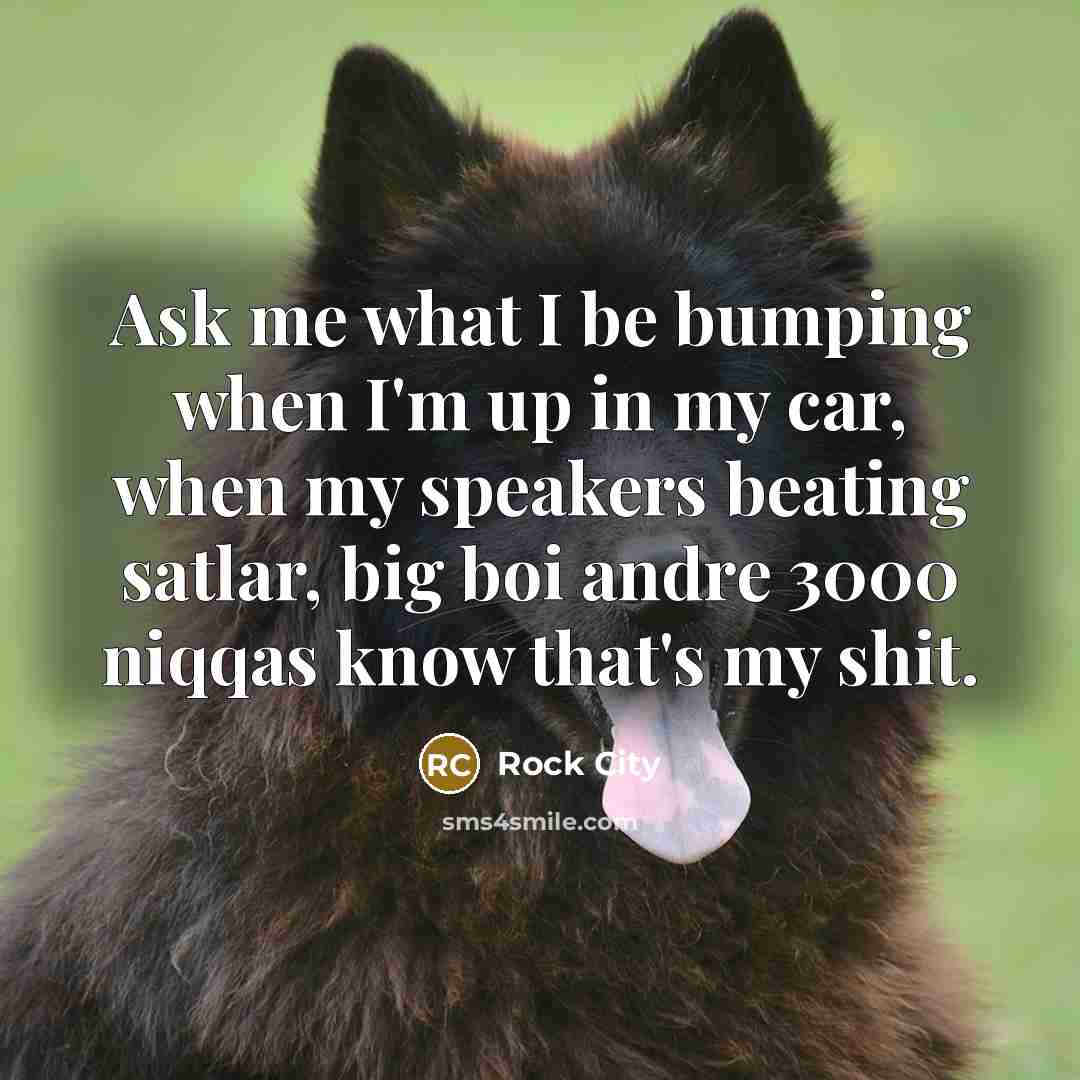 “Ask me what I be bumping when I'm up in my car, when my speakers beating satlar, big boi andre 3000 niqqas know that's my shit.” quote by Rock City