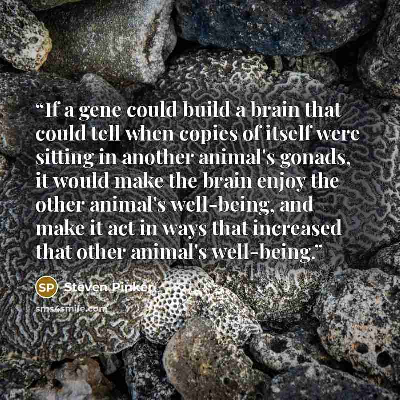 “If a gene could build a brain that could tell when copies of itself were sitting in another animal's gonads, it would make the brain enjoy the other animal's well-being, and make it act in ways that increased that other animal's well-being.” quote by Steven Pinker