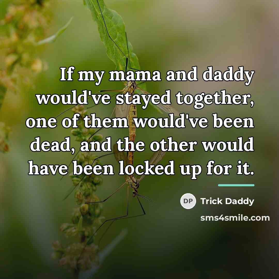 “If my mama and daddy would've stayed together, one of…” quote by Trick Daddy
