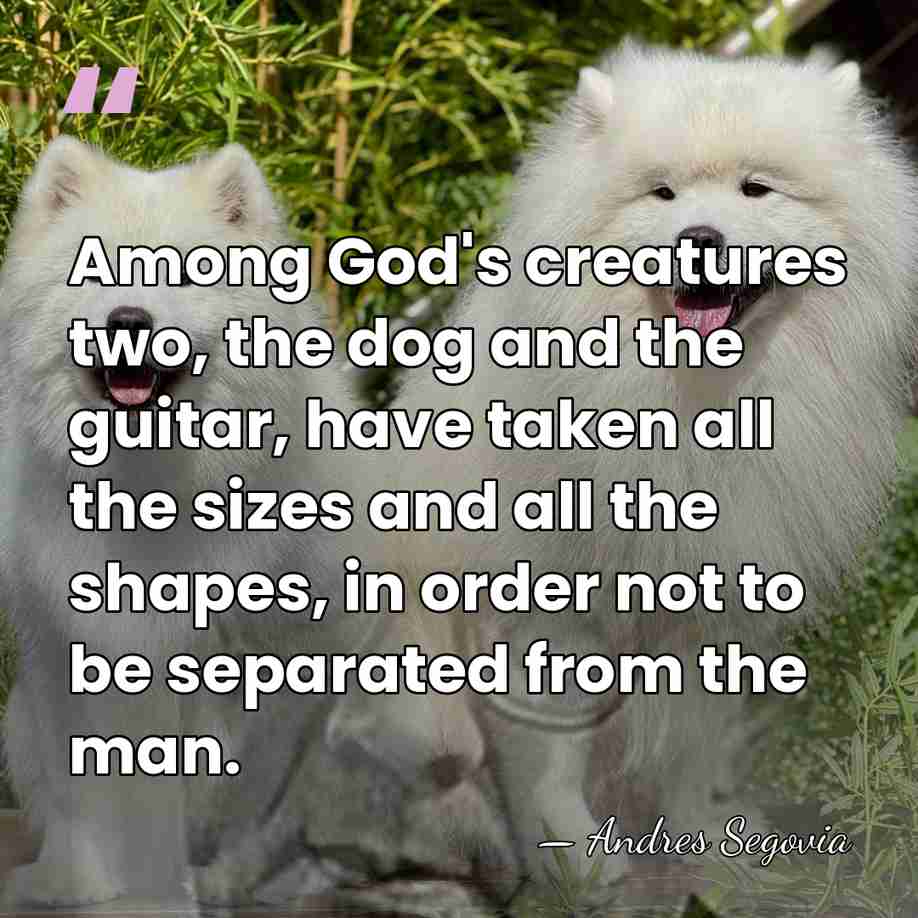 Among God's creatures two, the dog and the guitar, have taken all&hellip; - Andres Segovia