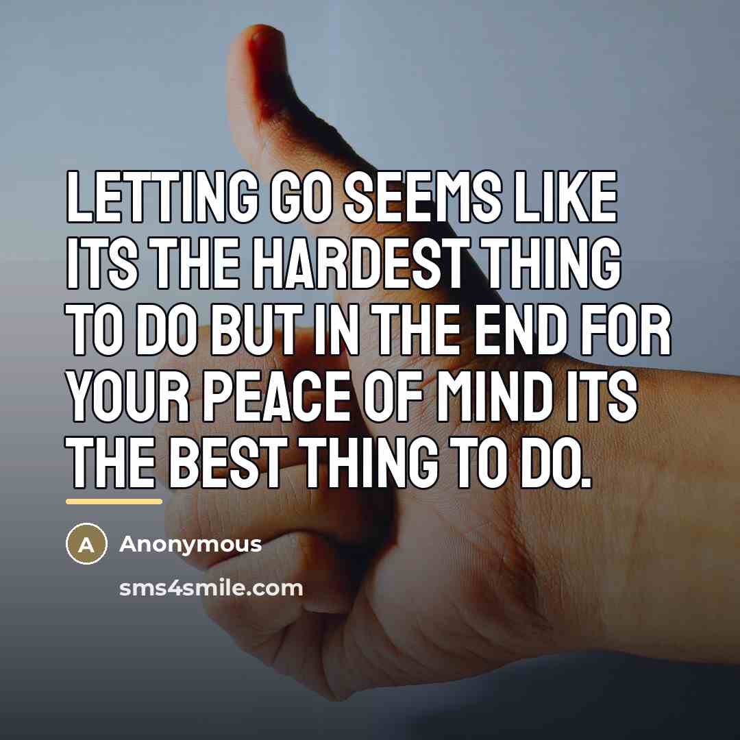 “Letting go seems like its the hardest thing to do…” quote by Anonymous