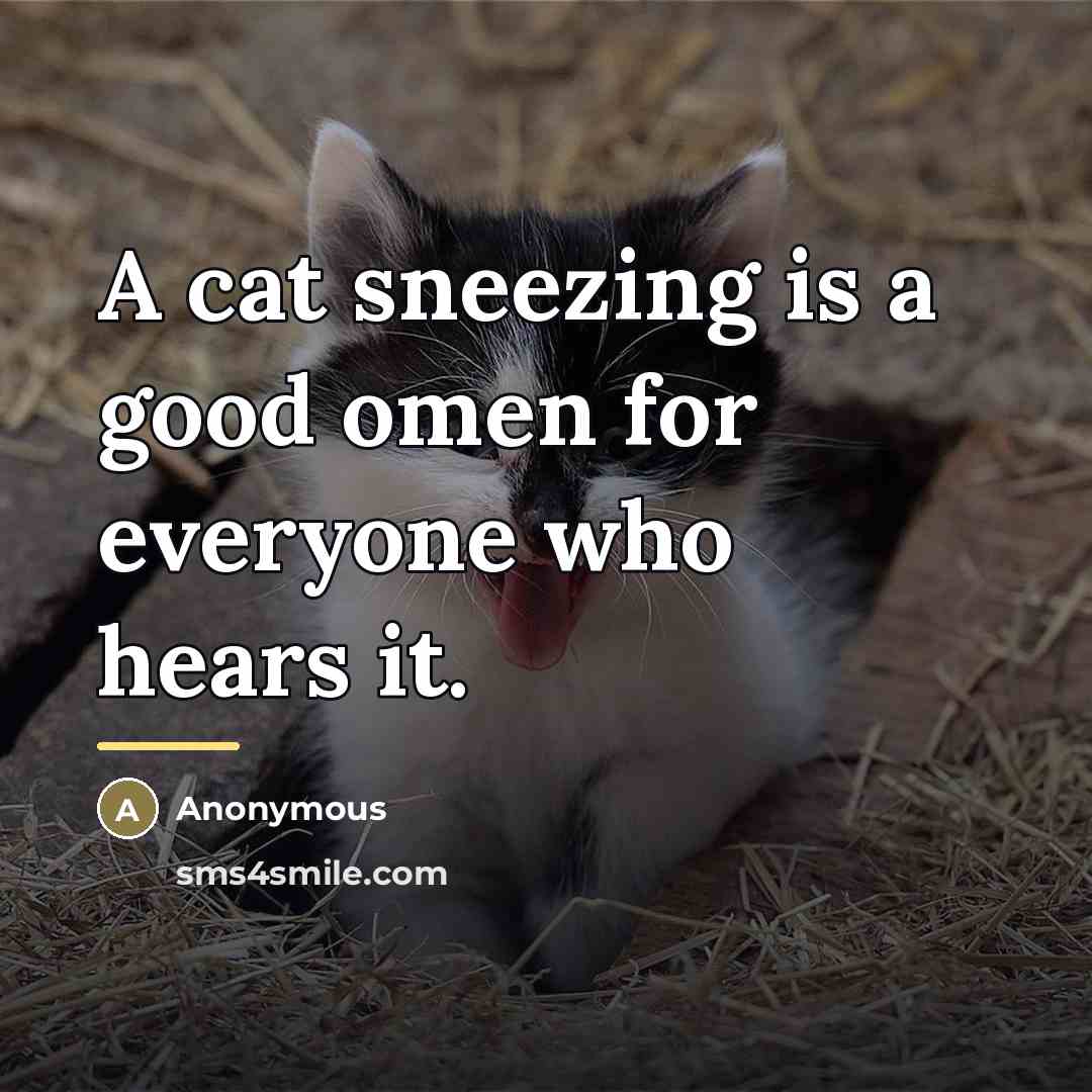 “A cat sneezing is a good omen for everyone who…” quote by Anonymous