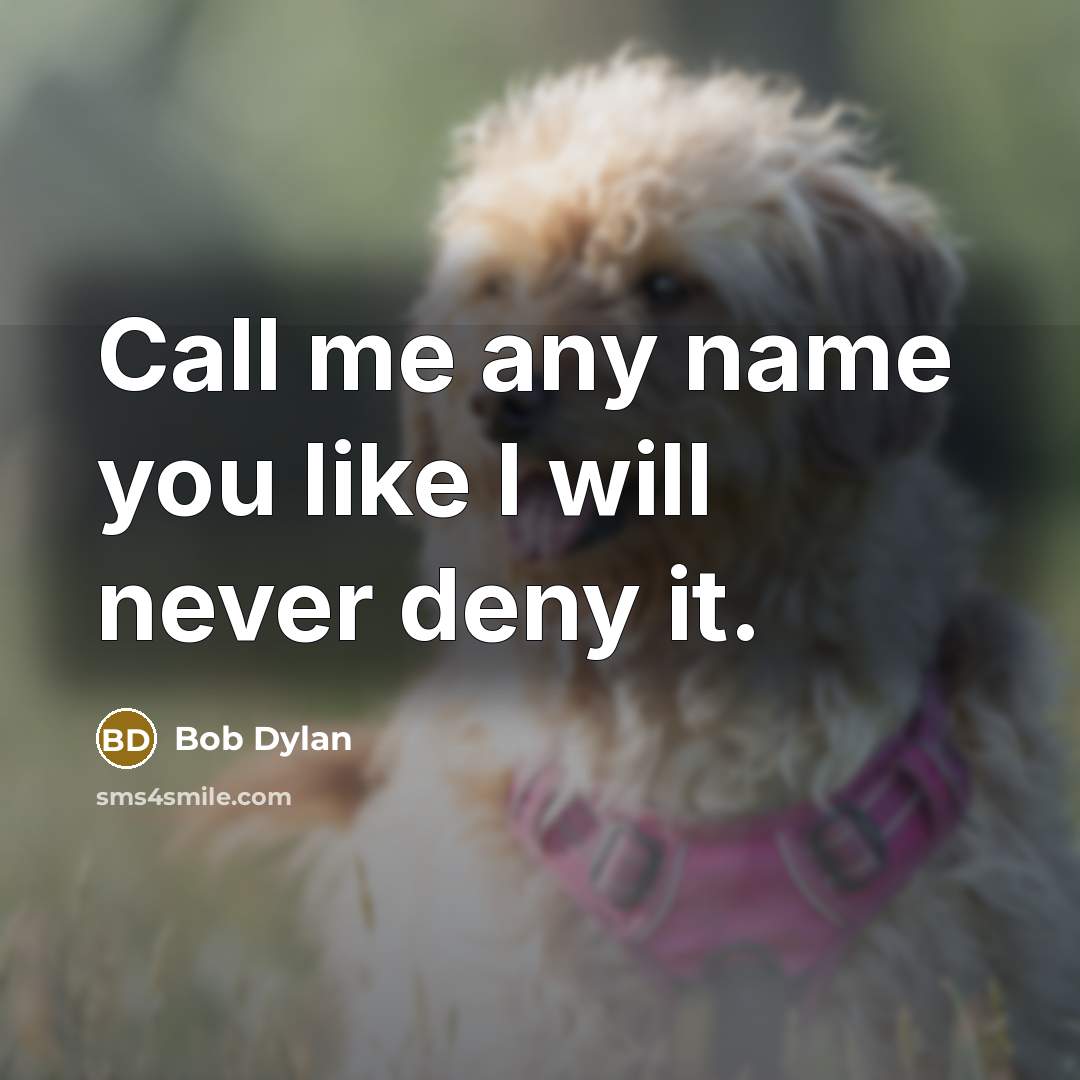“Call me any name you like I will never deny…” quote by Bob Dylan