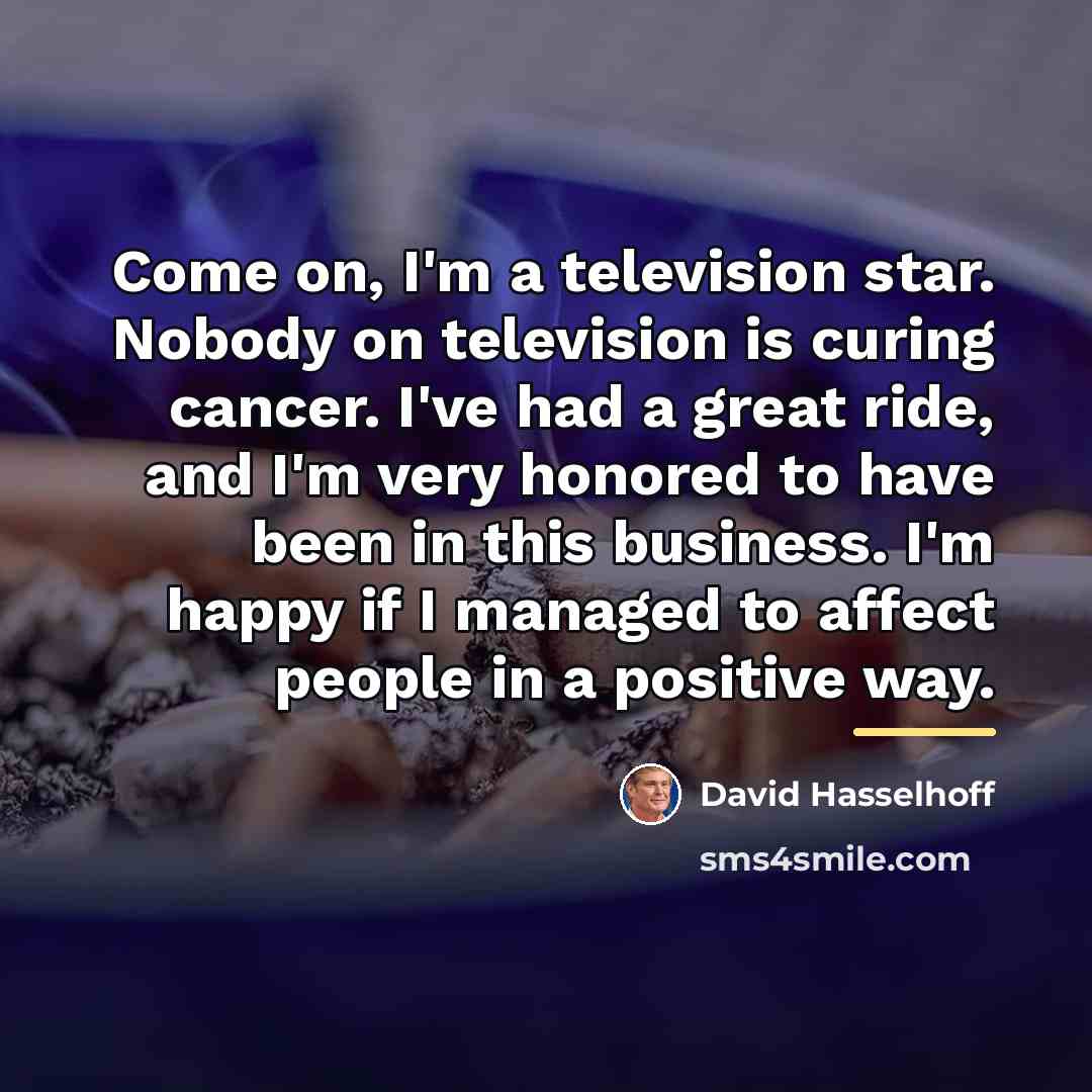 “Come on, I'm a television star. Nobody on television is…” quote by David Hasselhoff