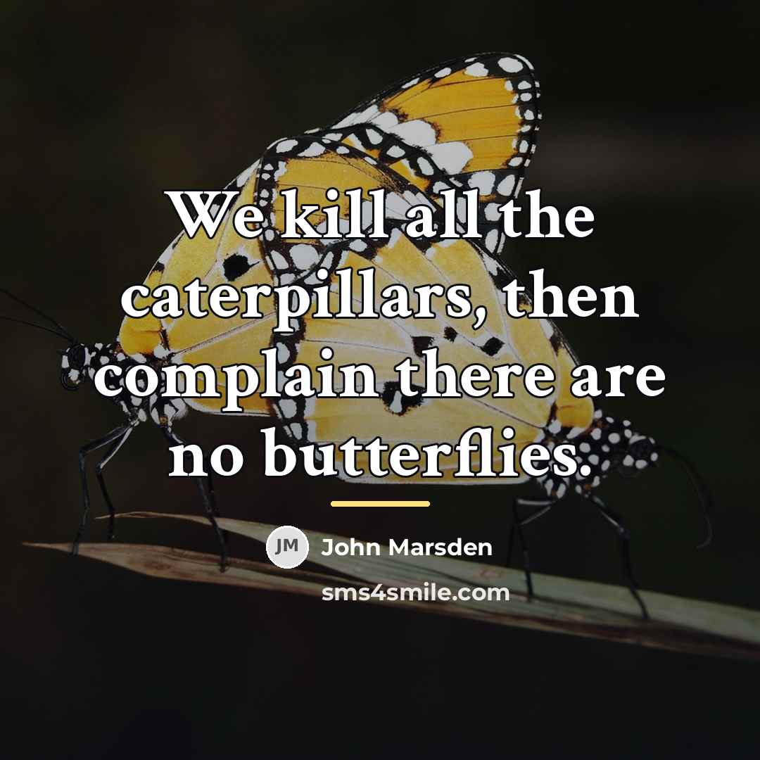 “We kill all the caterpillars, then complain there are no…” quote by John Marsden