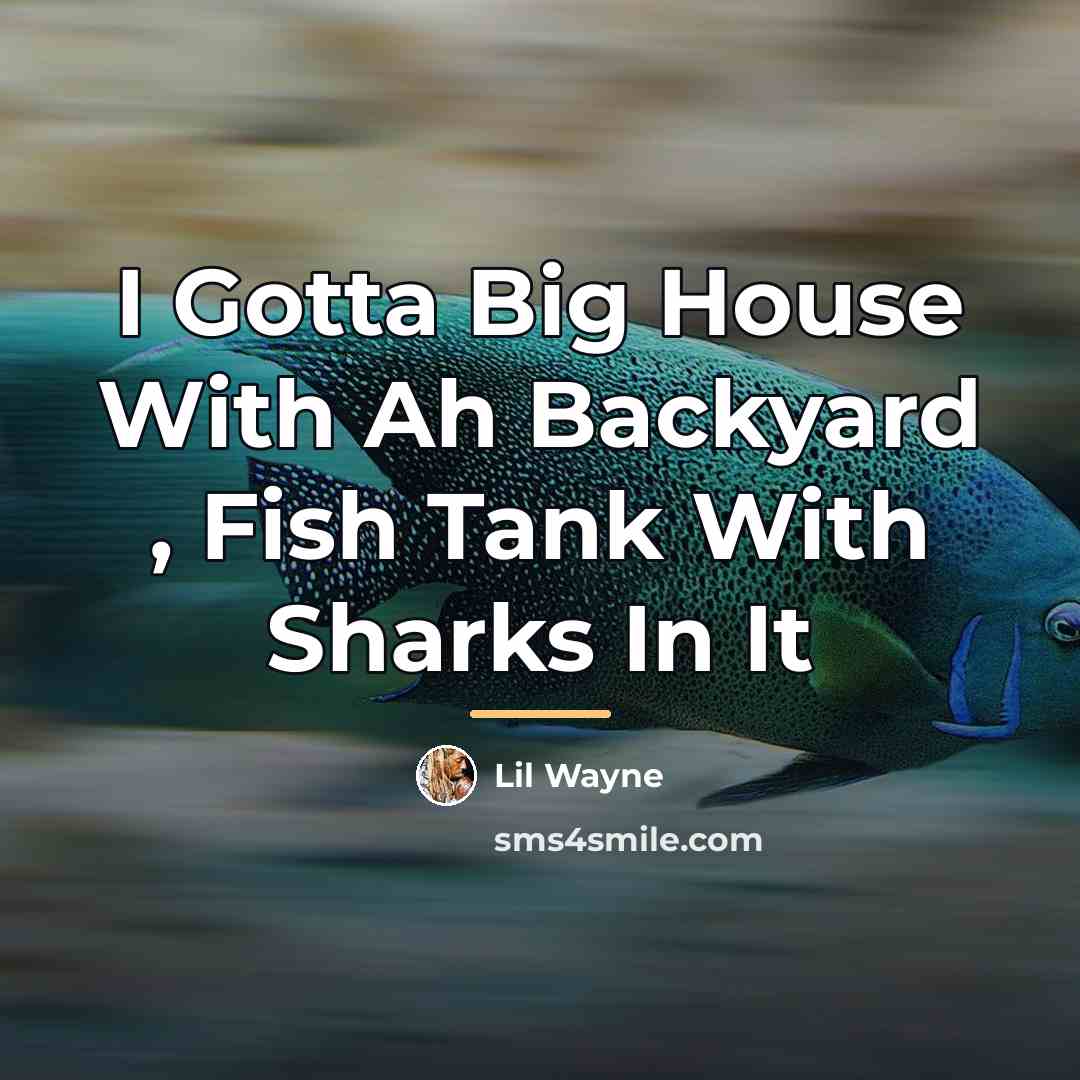 “I Gotta Big House With Ah Backyard , Fish Tank…” quote by Lil Wayne