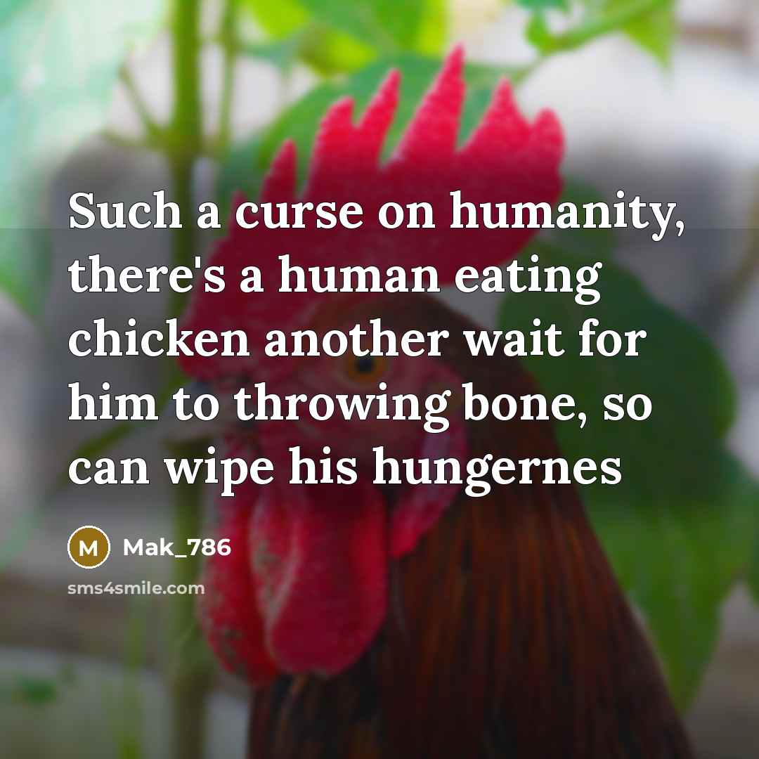 “Such a curse on humanity, there's a human eating chicken another wait for him to throwing bone, so can wipe his hungernes” quote by Mak_786