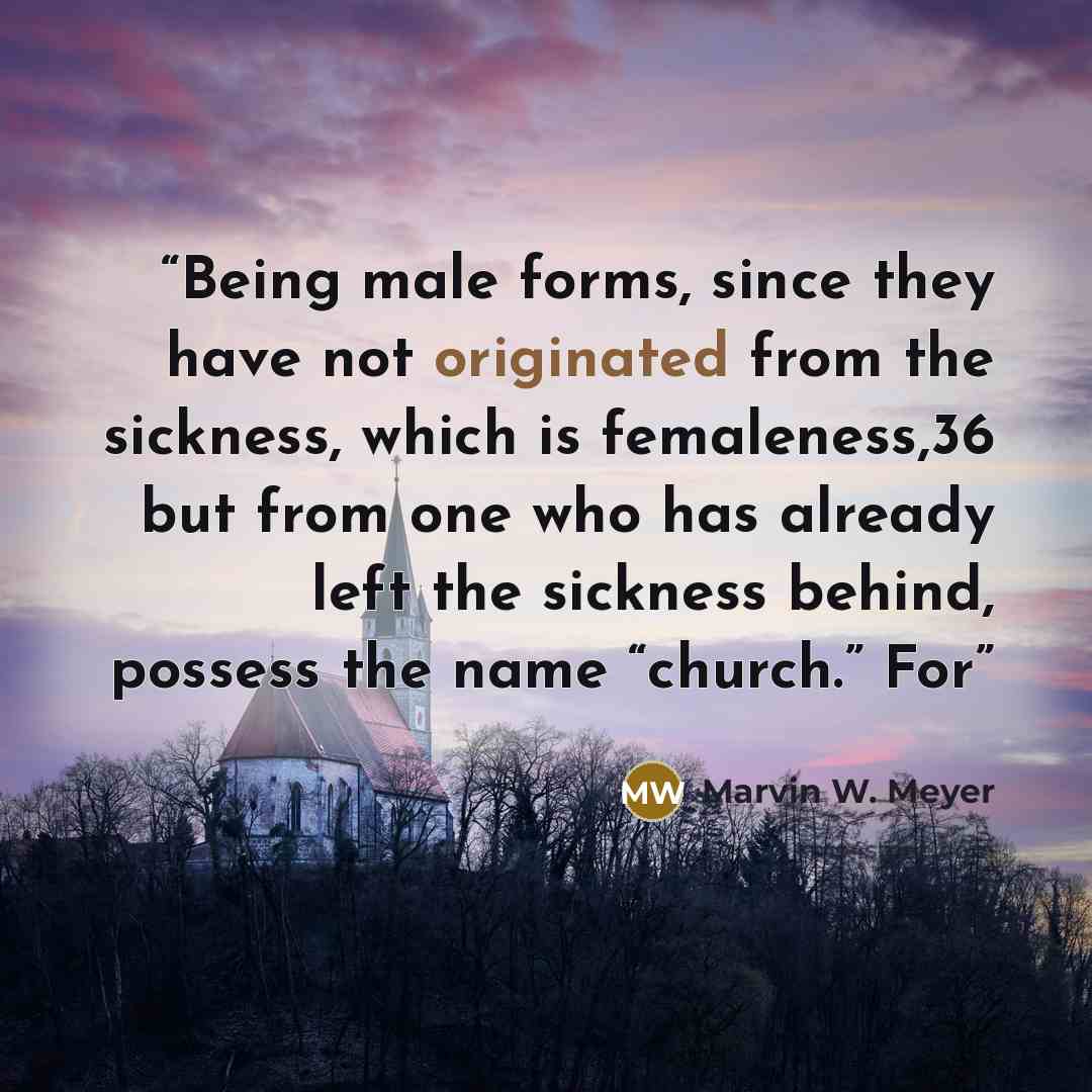 “Being male forms, since they have not originated from the sickness, which is femaleness,36 but from one who has already left the sickness behind, possess the name “church.” For” quote by Marvin W. Meyer