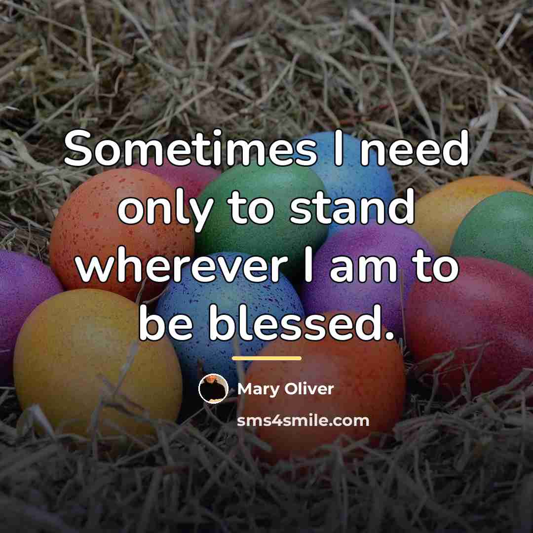 “Sometimes I need only to stand wherever I am to…” quote by Mary Oliver