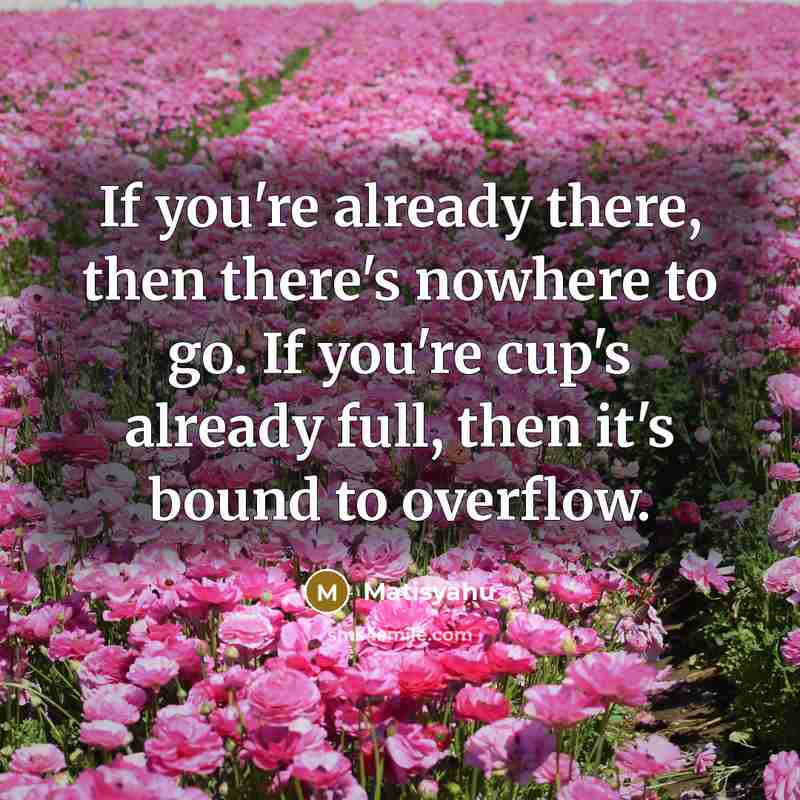 “If you're already there, then there's nowhere to go. If you're cup's already full, then it's bound to overflow.” quote by Matisyahu