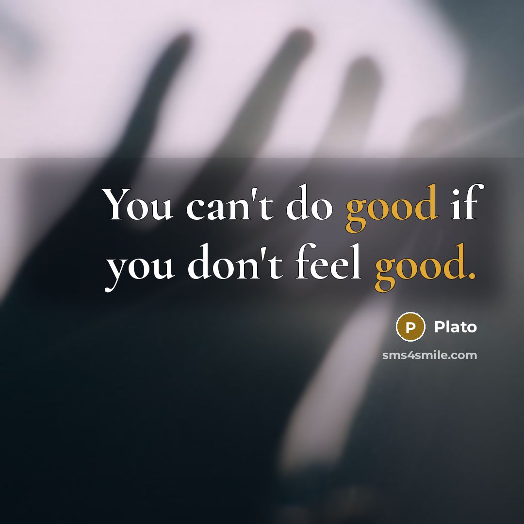 “You can't do good if you don't feel good.…” quote by Plato