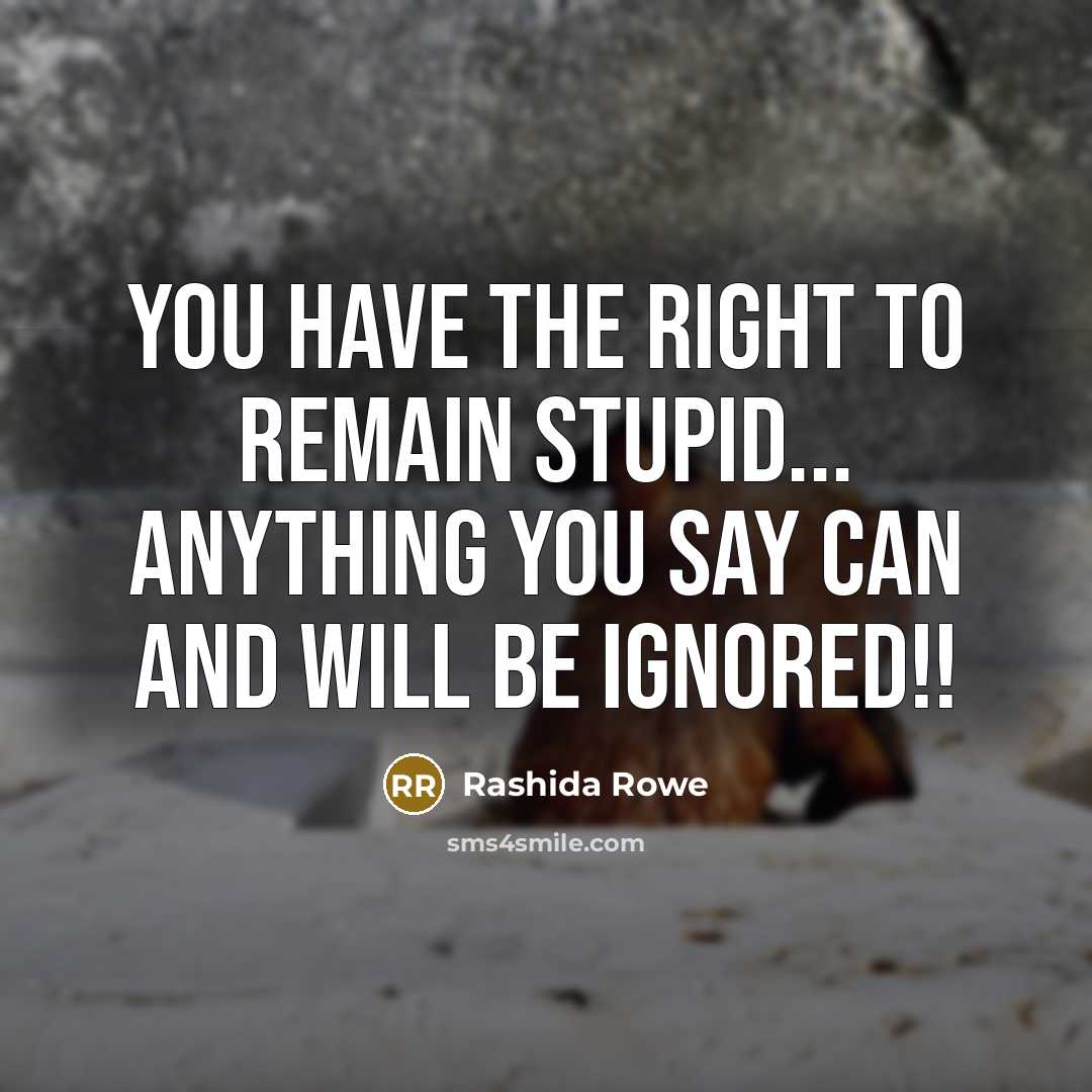 “You have the right to remain stupid... anything you say…” quote by Rashida Rowe