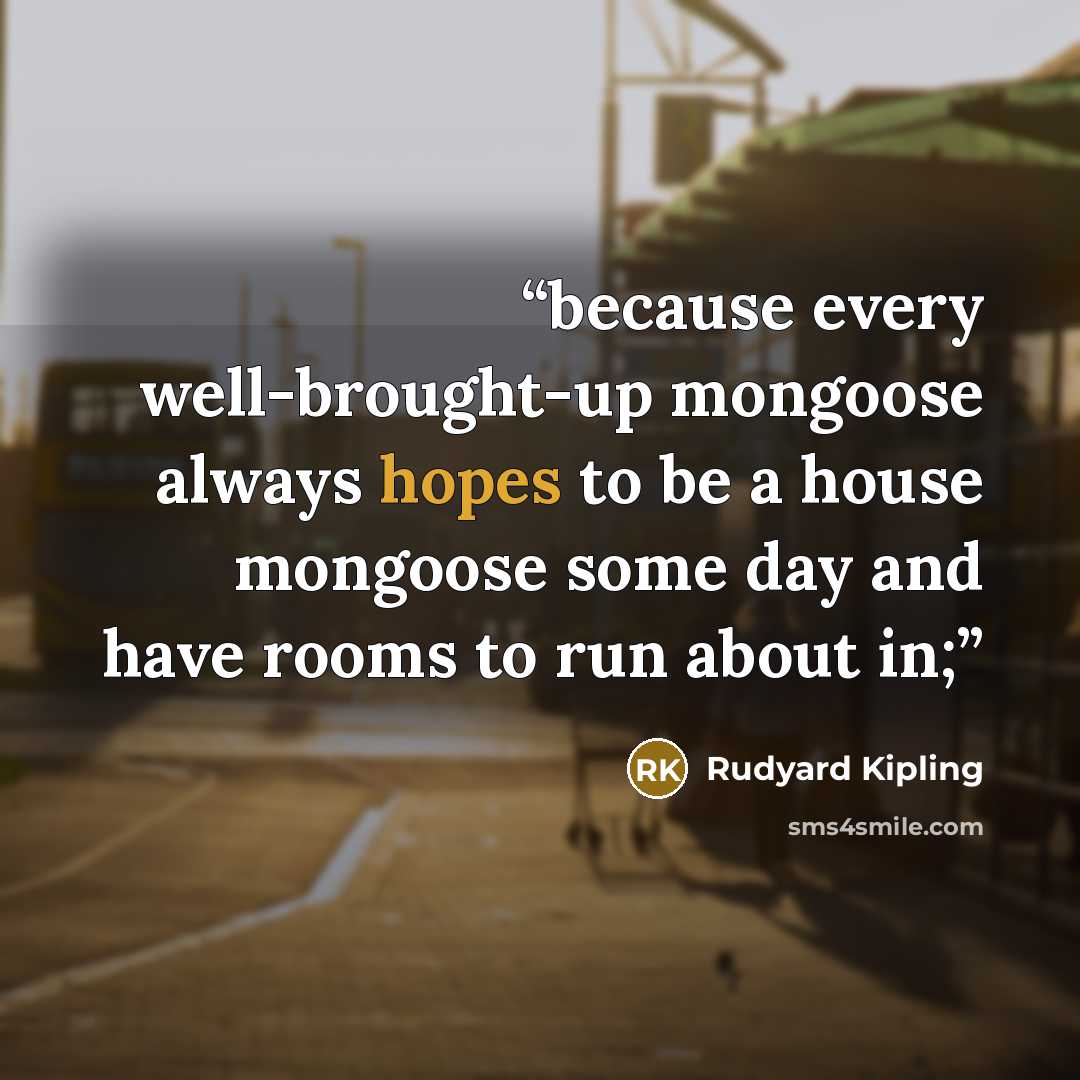 “because every well-brought-up mongoose always hopes to be a house mongoose some day and have rooms to run about in;” quote by Rudyard Kipling