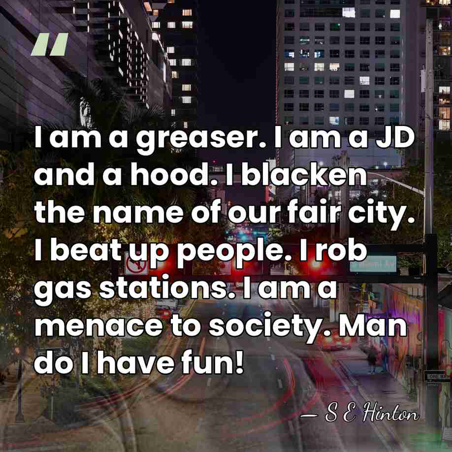 I am a greaser. I am a JD and a hood. I&hellip; - S E Hinton