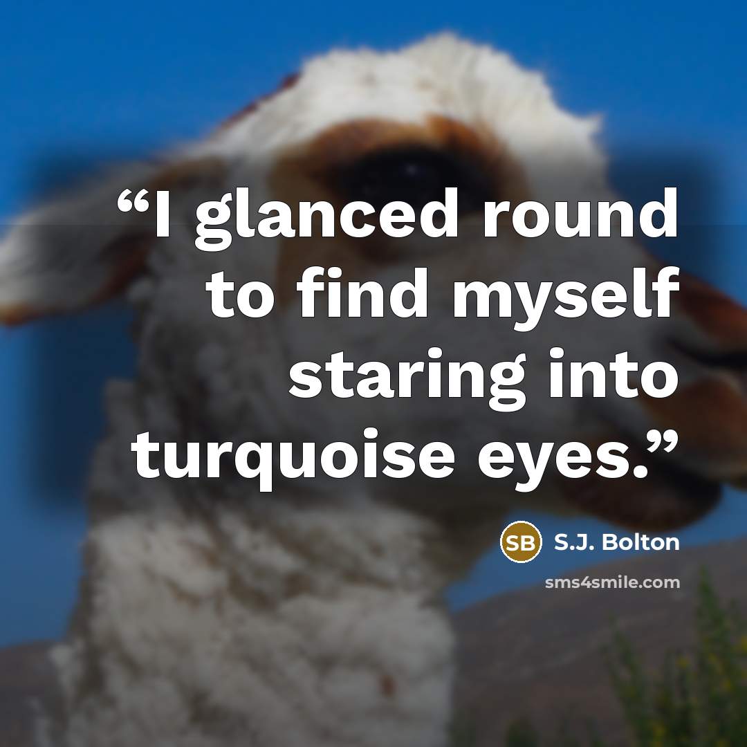 “I glanced round to find myself staring into turquoise eyes.” quote by S.J. Bolton