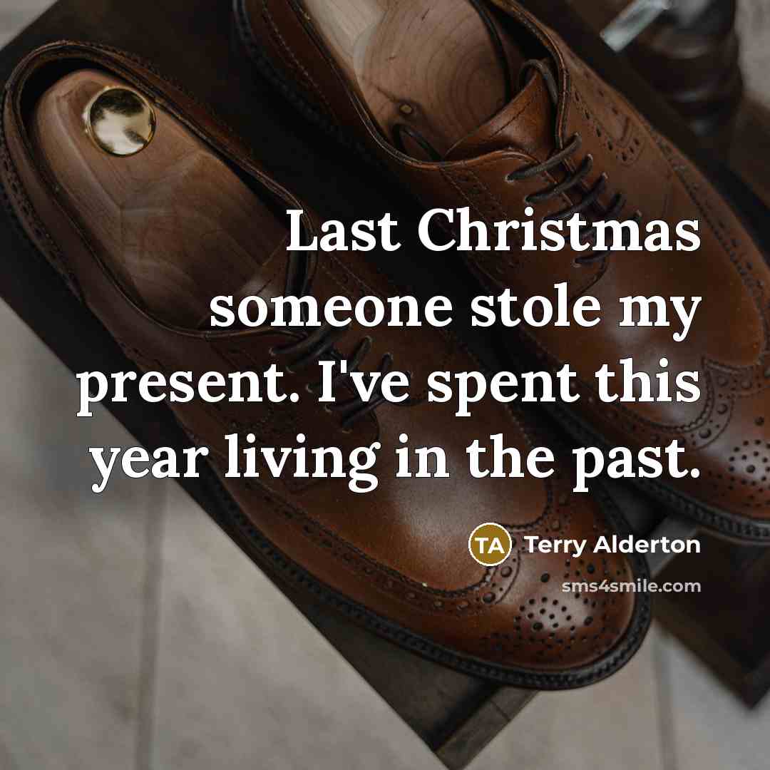 “Last Christmas someone stole my present. I've spent this year living in the past.” quote by Terry Alderton