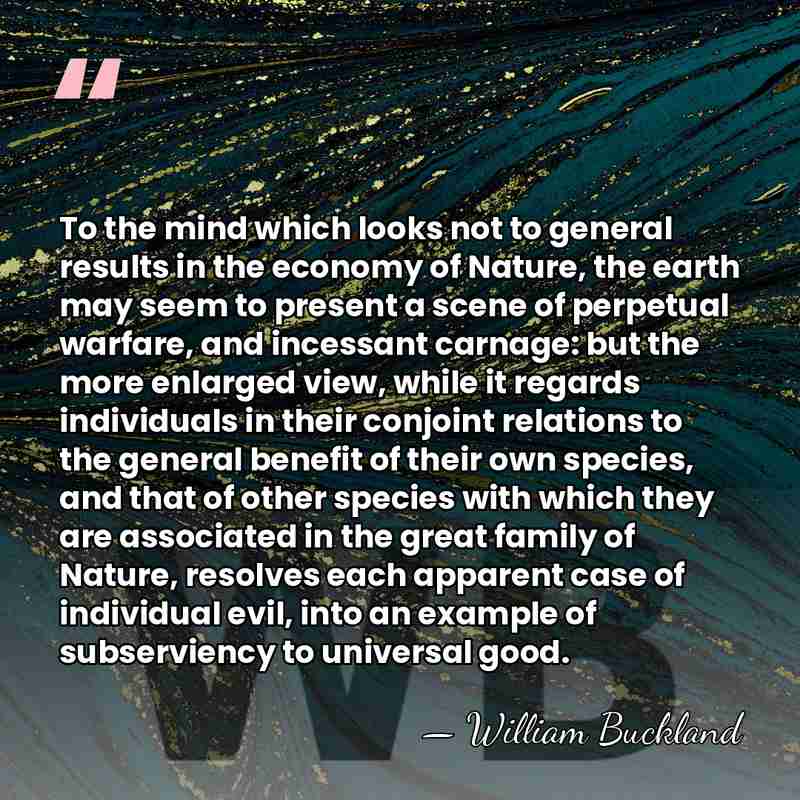 To the mind which looks not to general results in the economy&hellip; - William Buckland