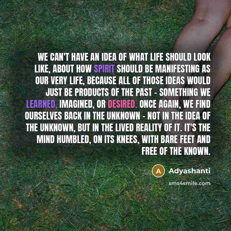 “We can't have an idea of what life should look…” quote by Adyashanti