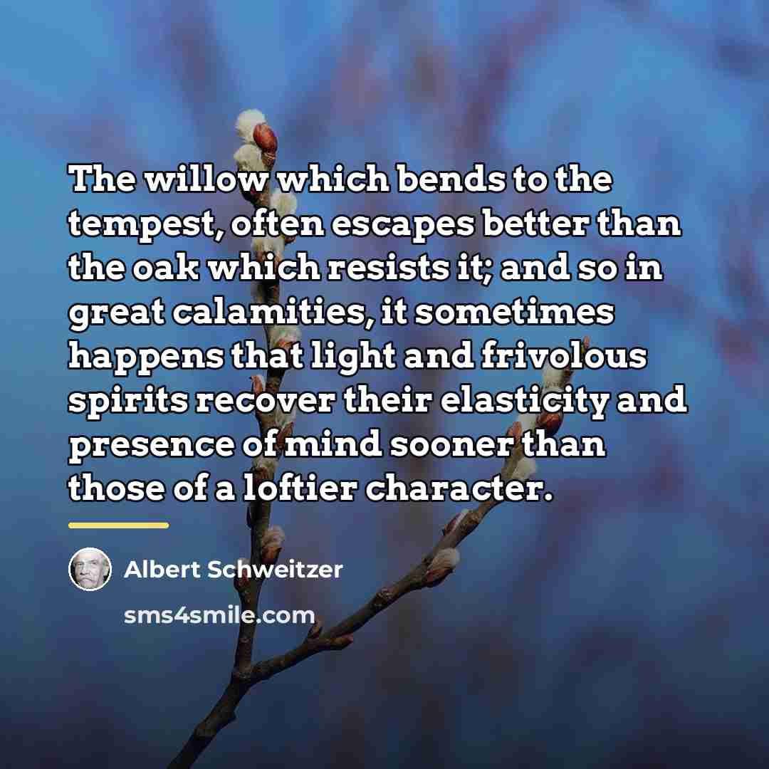 “The willow which bends to the tempest, often escapes better…” quote by Albert Schweitzer