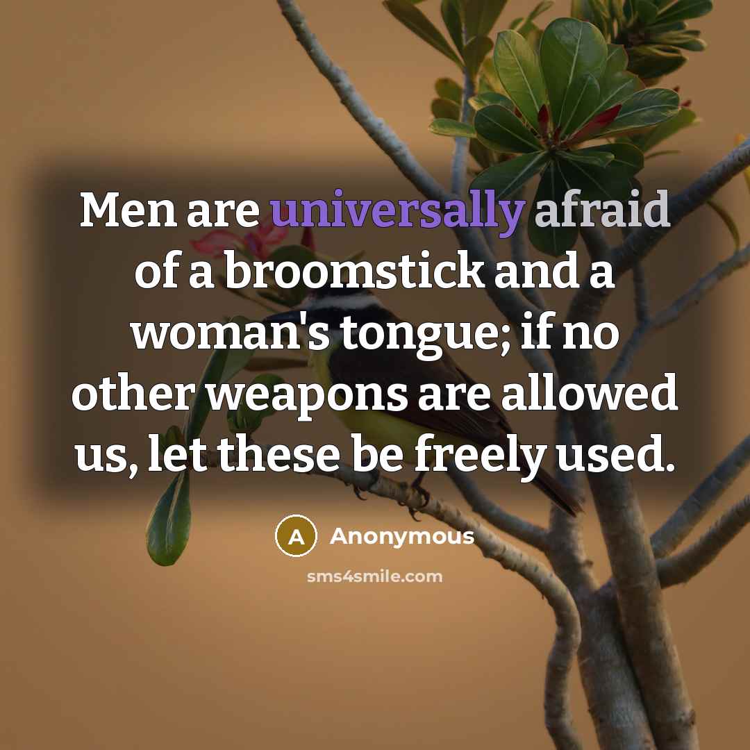 “Men are universally afraid of a broomstick and a woman's tongue; if no other weapons are allowed us, let these be freely used.” quote by Anonymous