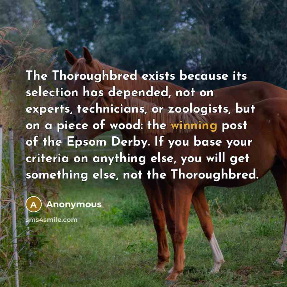 “The Thoroughbred exists because its selection has depended, not on experts, technicians, or zoologists, but on a piece of wood: the winning post of the Epsom Derby. If you base your criteria on anything else, you will get something else, not the Thoroughbred.” quote by Anonymous