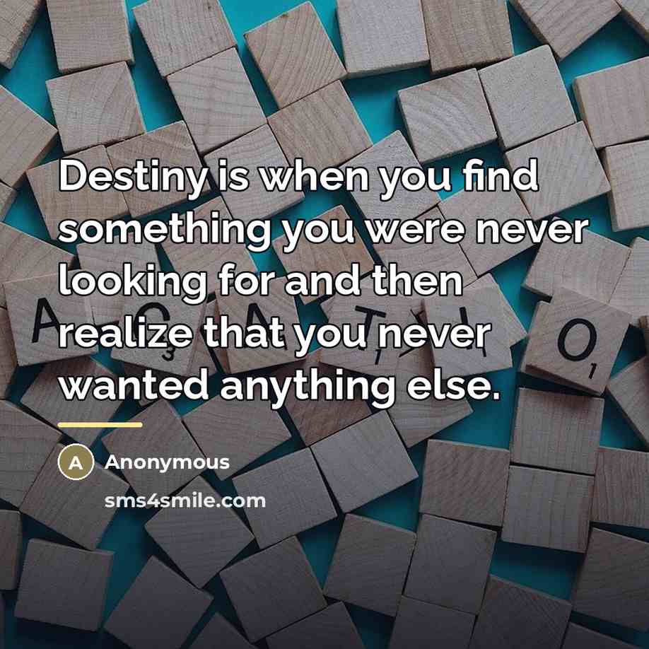 “Destiny is when you find something you were never looking…” quote by Anonymous